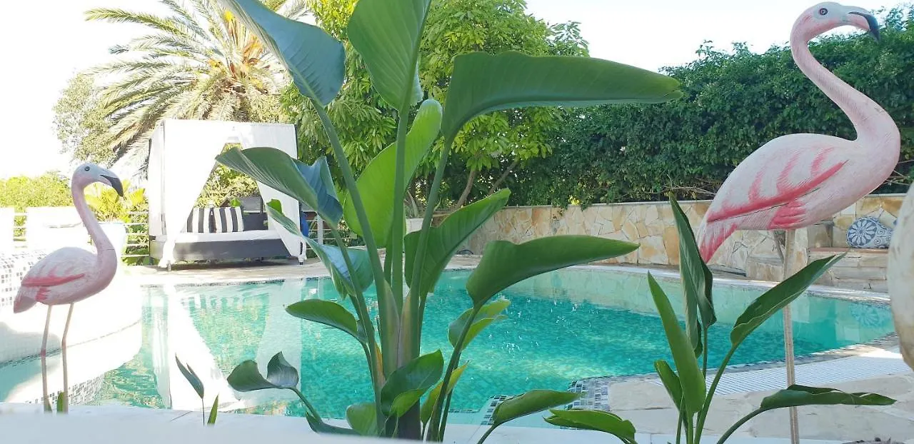 Casa Privada Para Dos Con Jacuzzi Y Piscina Malaga Alora